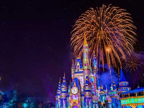 View of Cinderella Castle with fireworks in the background