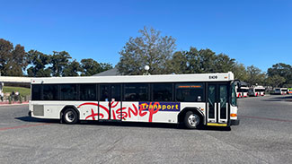 View of a Disney Bus